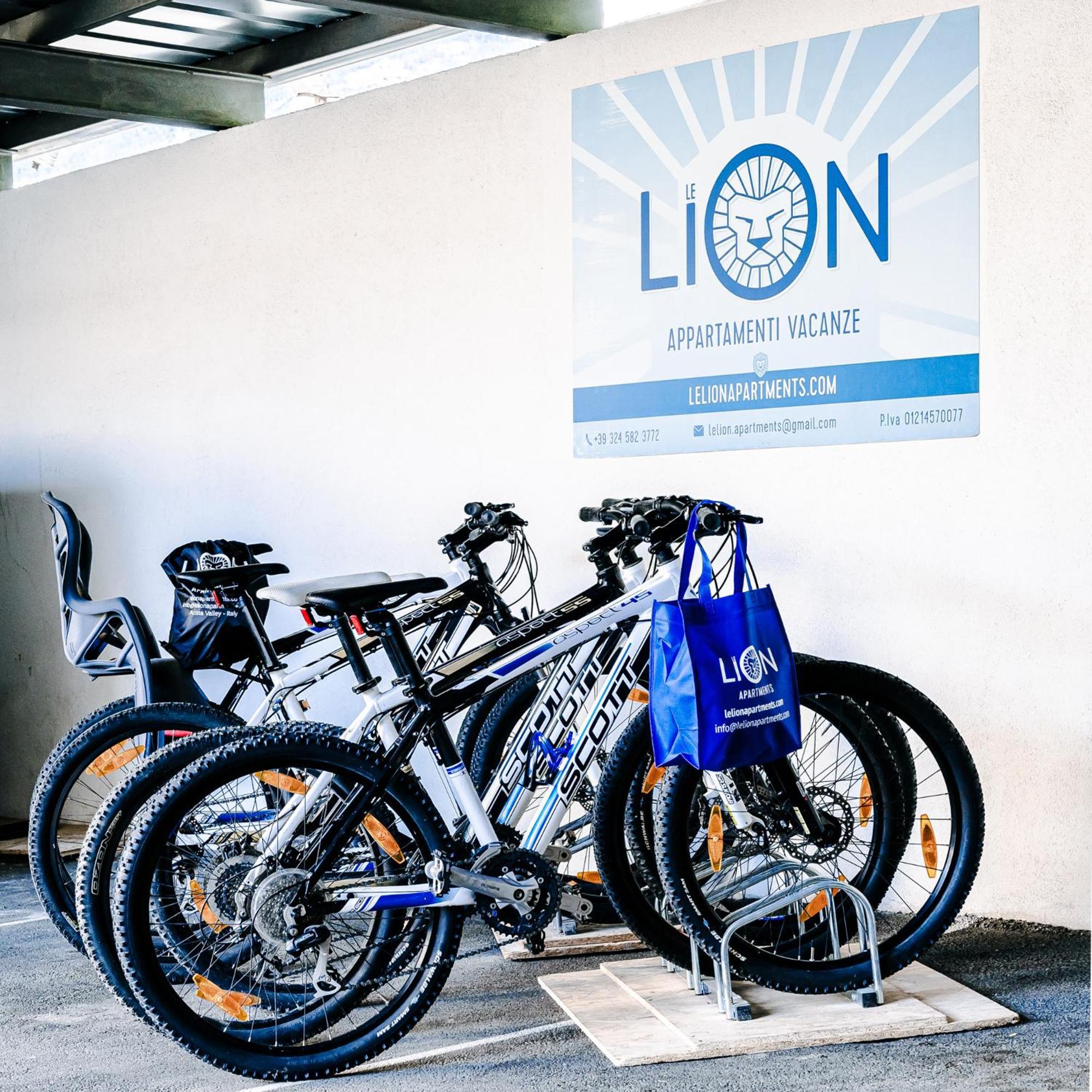 Le Lion Apartments - Bike & Ski Aosta Exterior foto